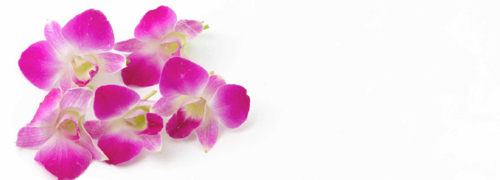 お葬式プランと安置室のご案内