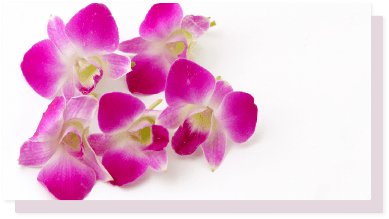 吉井造花店について